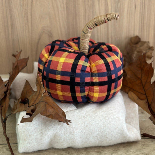 Pumpkin - Friedlies